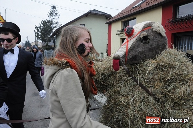 Zdjęcie w galerii na portalu naszraciborz.pl: TANZBR, czyli ostatki w Samborowicach wiadomości z regionu
