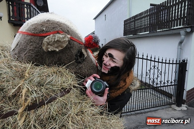 Zdjęcie w galerii na portalu naszraciborz.pl: TANZBR, czyli ostatki w Samborowicach wiadomości z regionu