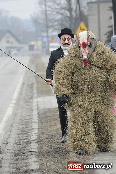 Zdjęcie w galerii na portalu naszraciborz.pl: TANZBR, czyli ostatki w Samborowicach wiadomości z regionu