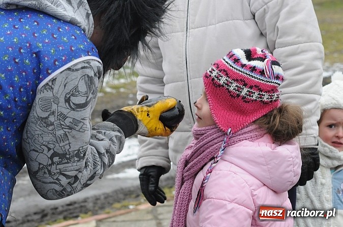 Zdjęcie w galerii na portalu naszraciborz.pl: TANZBR, czyli ostatki w Samborowicach wiadomości z regionu