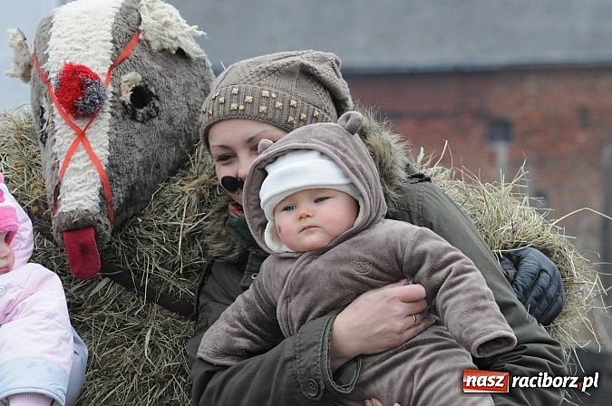 Zdjęcie w galerii na portalu naszraciborz.pl: TANZBR, czyli ostatki w Samborowicach wiadomości z regionu