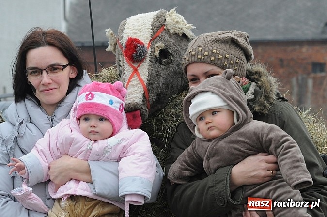 Zdjęcie w galerii na portalu naszraciborz.pl: TANZBR, czyli ostatki w Samborowicach wiadomości z regionu