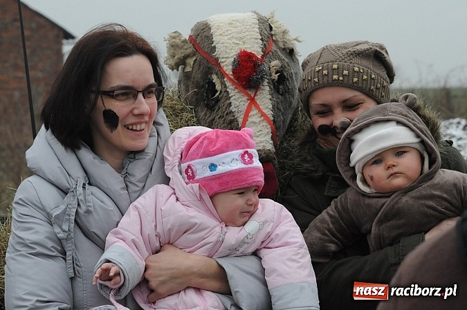 Zdjęcie w galerii na portalu naszraciborz.pl: TANZBR, czyli ostatki w Samborowicach wiadomości z regionu