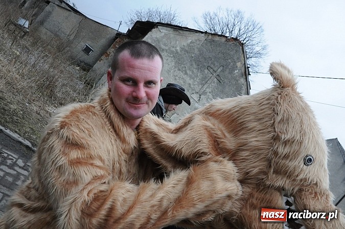 Zdjęcie w galerii na portalu naszraciborz.pl: Ber chodzi po wsiach, ale młodych dziewczyn niestety nie spotkał wiadomości z regionu