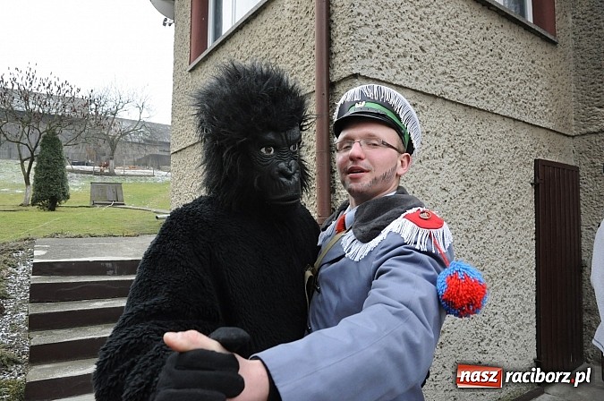 Zdjęcie w galerii na portalu naszraciborz.pl: Ber chodzi po wsiach, ale młodych dziewczyn niestety nie spotkał wiadomości z regionu