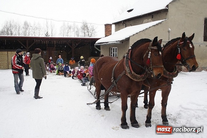 Zdjęcie w galerii na portalu naszraciborz.pl: Prawdziwe konie, sanie i bajeczna zimowa aura wiadomości z regionu