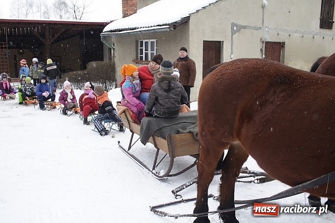 Zdjęcie w galerii na portalu naszraciborz.pl: Prawdziwe konie, sanie i bajeczna zimowa aura wiadomości z regionu