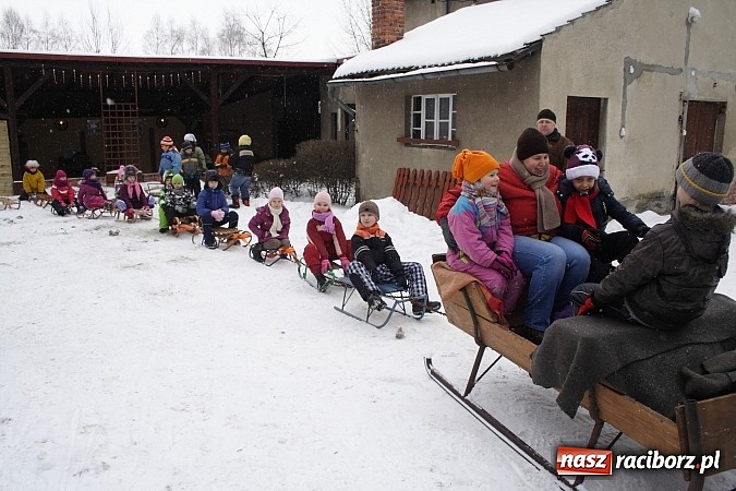 Zdjęcie w galerii na portalu naszraciborz.pl: Prawdziwe konie, sanie i bajeczna zimowa aura wiadomości z regionu
