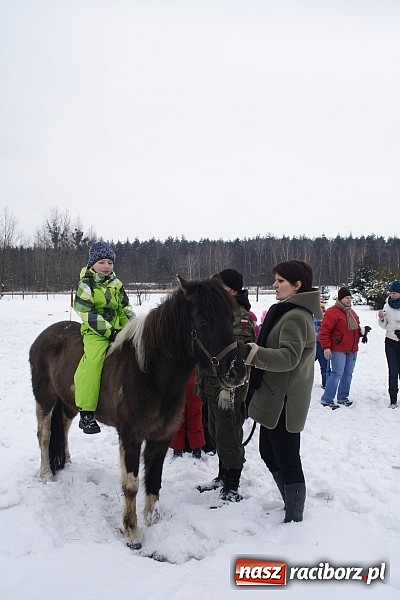 Zdjęcie w galerii na portalu naszraciborz.pl: Prawdziwe konie, sanie i bajeczna zimowa aura wiadomości z regionu