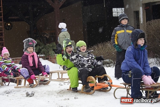 Zdjęcie w galerii na portalu naszraciborz.pl: Prawdziwe konie, sanie i bajeczna zimowa aura wiadomości z regionu