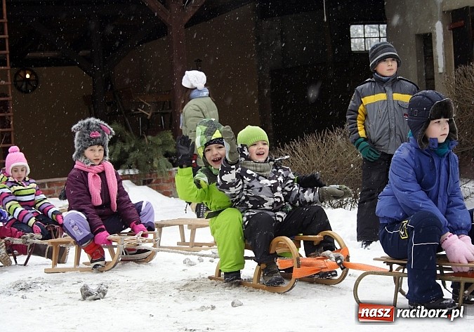 Zdjęcie w galerii na portalu naszraciborz.pl: Prawdziwe konie, sanie i bajeczna zimowa aura wiadomości z regionu