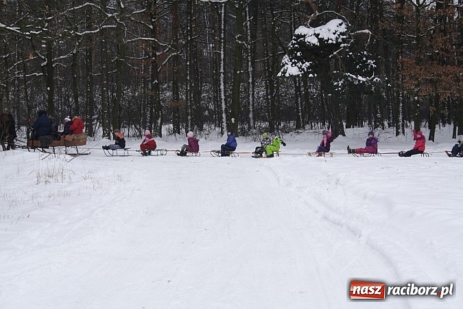 Zdjęcie w galerii na portalu naszraciborz.pl: Prawdziwe konie, sanie i bajeczna zimowa aura wiadomości z regionu
