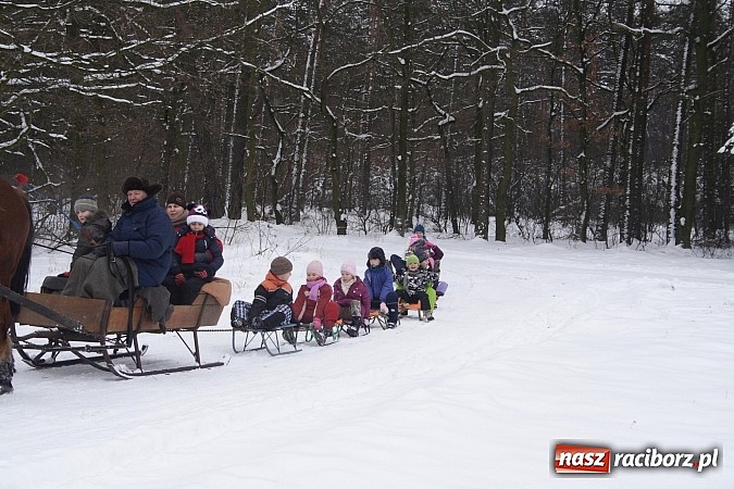 Zdjęcie w galerii na portalu naszraciborz.pl: Prawdziwe konie, sanie i bajeczna zimowa aura wiadomości z regionu