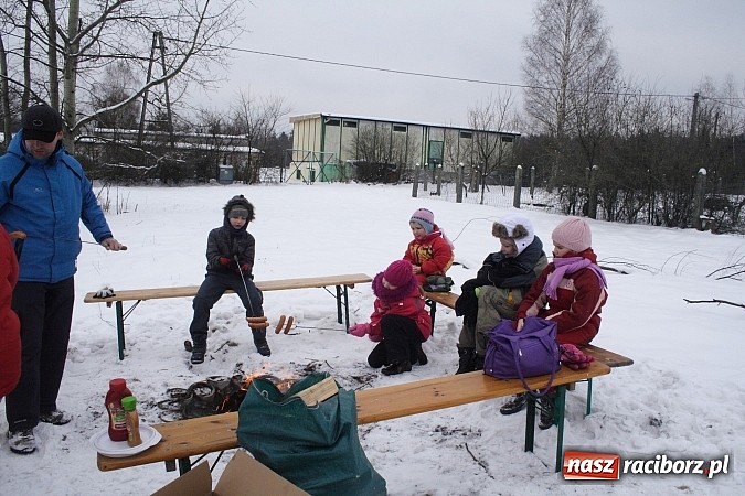 Zdjęcie w galerii na portalu naszraciborz.pl: Prawdziwe konie, sanie i bajeczna zimowa aura wiadomości z regionu