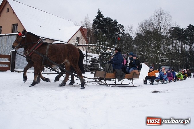 Zdjęcie w galerii na portalu naszraciborz.pl: Prawdziwe konie, sanie i bajeczna zimowa aura wiadomości z regionu