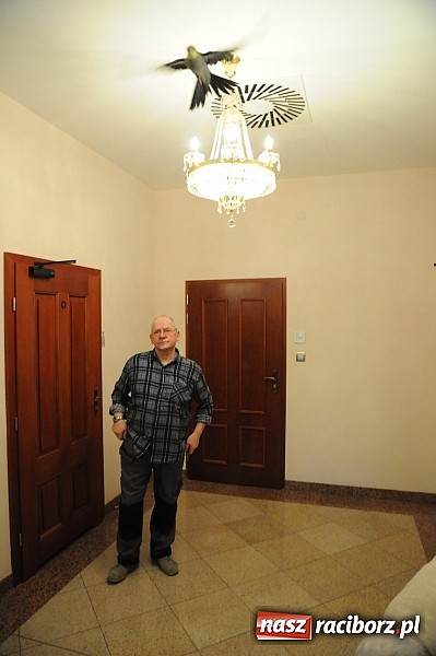 Zdjęcie w galerii na portalu naszraciborz.pl: Ferie na zamku. W pierwszym dniu tłumy. W piątek spotkanie z Japonią i Crazy Clubem wiadomości z regionu