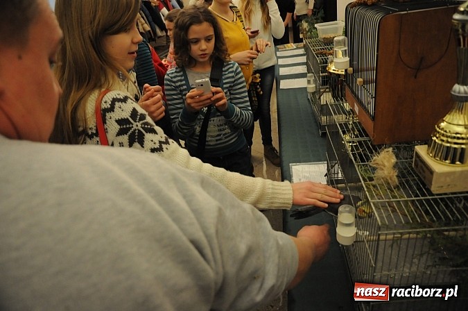 Zdjęcie w galerii na portalu naszraciborz.pl: Ferie na zamku. W pierwszym dniu tłumy. W piątek spotkanie z Japonią i Crazy Clubem wiadomości z regionu