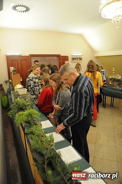 Zdjęcie w galerii na portalu naszraciborz.pl: Ferie na zamku. W pierwszym dniu tłumy. W piątek spotkanie z Japonią i Crazy Clubem wiadomości z regionu