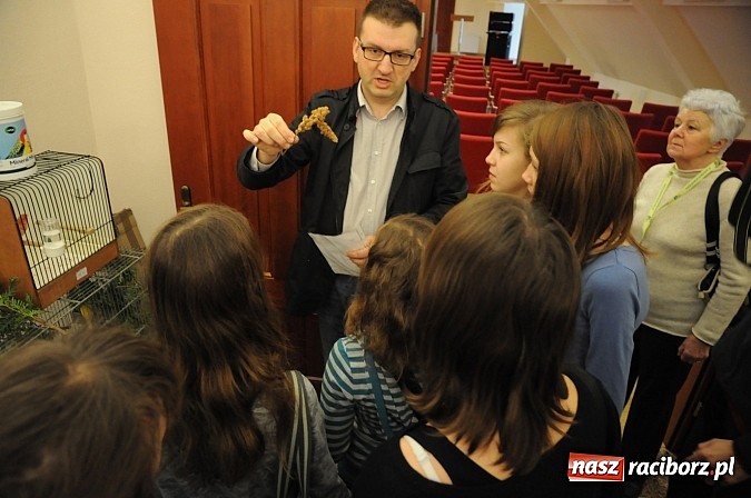Zdjęcie w galerii na portalu naszraciborz.pl: Ferie na zamku. W pierwszym dniu tłumy. W piątek spotkanie z Japonią i Crazy Clubem wiadomości z regionu