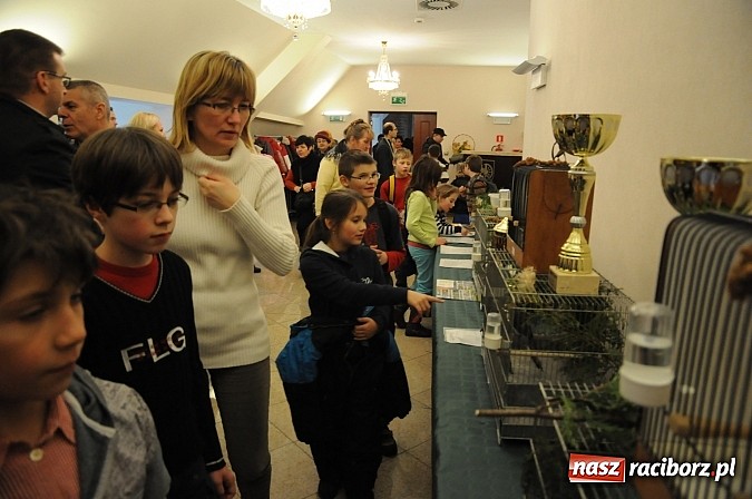 Zdjęcie w galerii na portalu naszraciborz.pl: Ferie na zamku. W pierwszym dniu tłumy. W piątek spotkanie z Japonią i Crazy Clubem wiadomości z regionu
