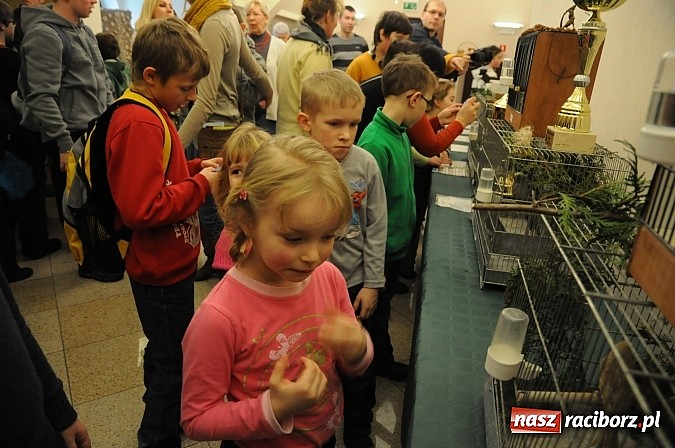 Zdjęcie w galerii na portalu naszraciborz.pl: Ferie na zamku. W pierwszym dniu tłumy. W piątek spotkanie z Japonią i Crazy Clubem wiadomości z regionu