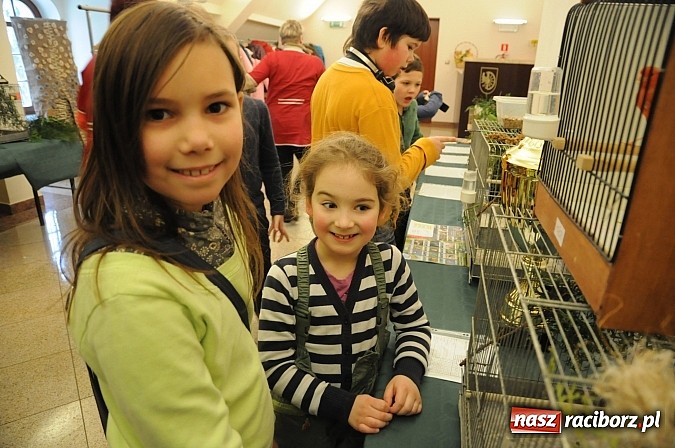 Zdjęcie w galerii na portalu naszraciborz.pl: Ferie na zamku. W pierwszym dniu tłumy. W piątek spotkanie z Japonią i Crazy Clubem wiadomości z regionu