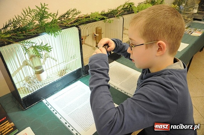 Zdjęcie w galerii na portalu naszraciborz.pl: Ferie na zamku. W pierwszym dniu tłumy. W piątek spotkanie z Japonią i Crazy Clubem wiadomości z regionu