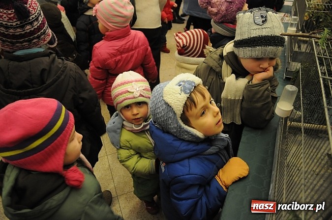 Zdjęcie w galerii na portalu naszraciborz.pl: Ferie na zamku. W pierwszym dniu tłumy. W piątek spotkanie z Japonią i Crazy Clubem wiadomości z regionu