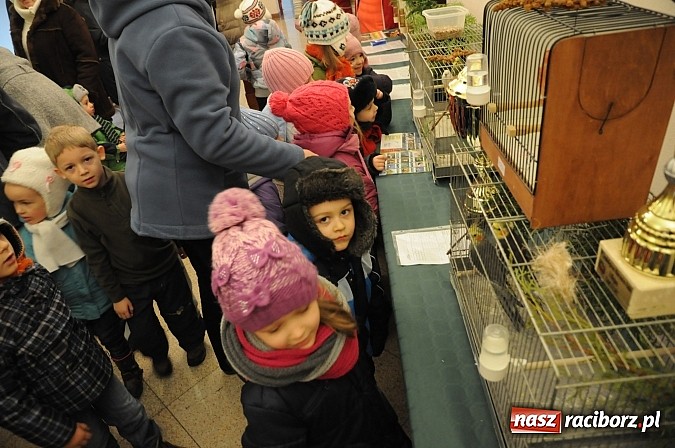 Zdjęcie w galerii na portalu naszraciborz.pl: Ferie na zamku. W pierwszym dniu tłumy. W piątek spotkanie z Japonią i Crazy Clubem wiadomości z regionu
