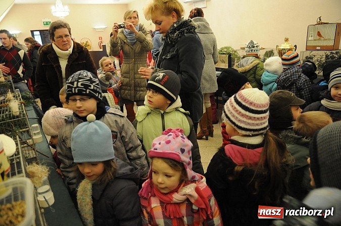 Zdjęcie w galerii na portalu naszraciborz.pl: Ferie na zamku. W pierwszym dniu tłumy. W piątek spotkanie z Japonią i Crazy Clubem wiadomości z regionu