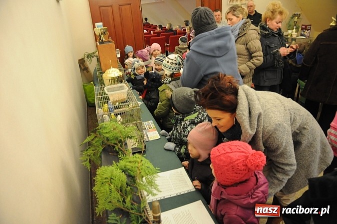 Zdjęcie w galerii na portalu naszraciborz.pl: Ferie na zamku. W pierwszym dniu tłumy. W piątek spotkanie z Japonią i Crazy Clubem wiadomości z regionu