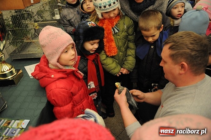 Zdjęcie w galerii na portalu naszraciborz.pl: Ferie na zamku. W pierwszym dniu tłumy. W piątek spotkanie z Japonią i Crazy Clubem wiadomości z regionu