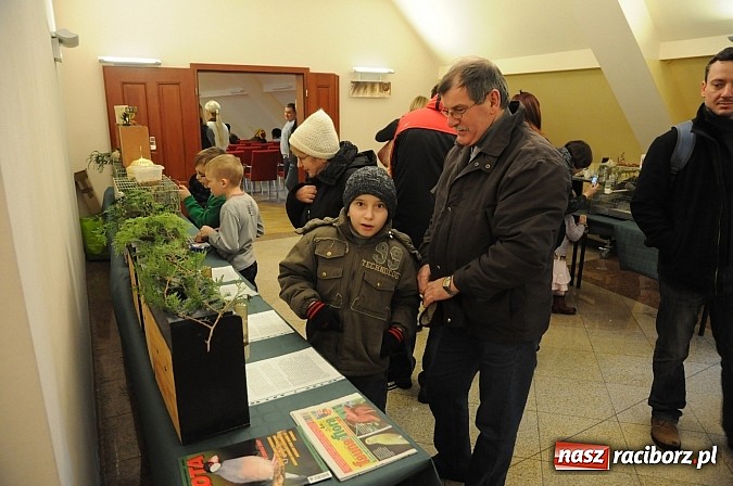 Zdjęcie w galerii na portalu naszraciborz.pl: Ferie na zamku. W pierwszym dniu tłumy. W piątek spotkanie z Japonią i Crazy Clubem wiadomości z regionu
