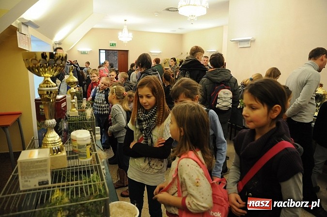 Zdjęcie w galerii na portalu naszraciborz.pl: Ferie na zamku. W pierwszym dniu tłumy. W piątek spotkanie z Japonią i Crazy Clubem wiadomości z regionu
