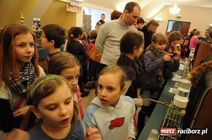 Zdjęcie w galerii na portalu naszraciborz.pl: Ferie na zamku. W pierwszym dniu tłumy. W piątek spotkanie z Japonią i Crazy Clubem wiadomości z regionu