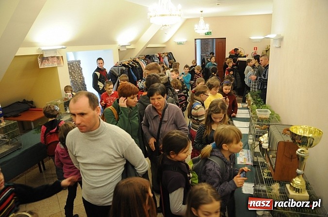 Zdjęcie w galerii na portalu naszraciborz.pl: Ferie na zamku. W pierwszym dniu tłumy. W piątek spotkanie z Japonią i Crazy Clubem wiadomości z regionu