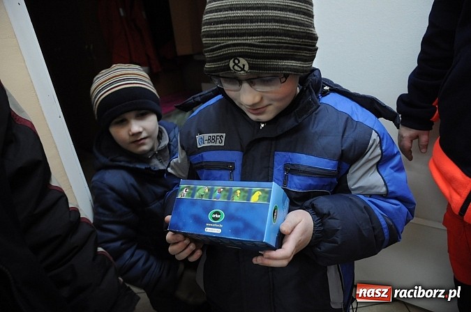 Zdjęcie w galerii na portalu naszraciborz.pl: Zbłąkana papużka przyleciała po pomoc na... pogotowie ratunkowe w Krzyżanowicach wiadomości z regionu