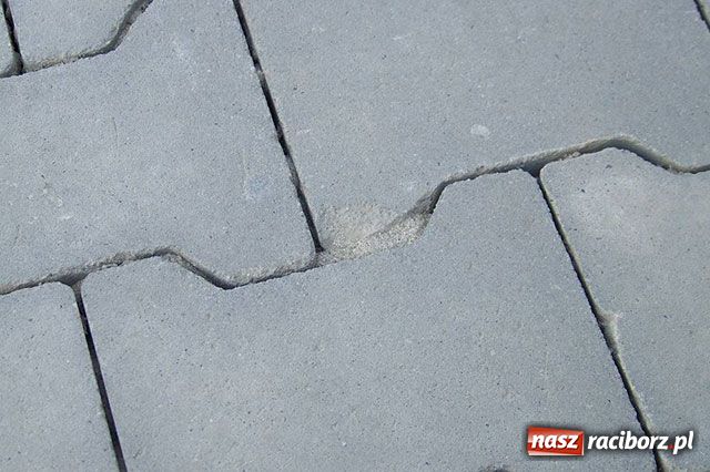Zdjęcie w galerii na portalu naszraciborz.pl: Ścieżka rozjechana. Kto winien? wiadomości z regionu