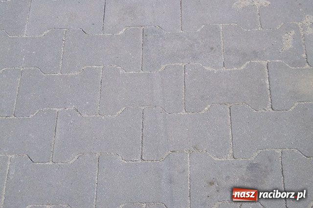 Zdjęcie w galerii na portalu naszraciborz.pl: Ścieżka rozjechana. Kto winien? wiadomości z regionu