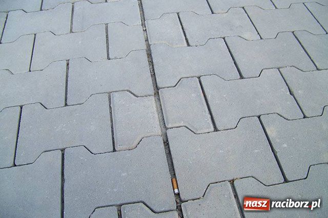 Zdjęcie w galerii na portalu naszraciborz.pl: Ścieżka rozjechana. Kto winien? wiadomości z regionu