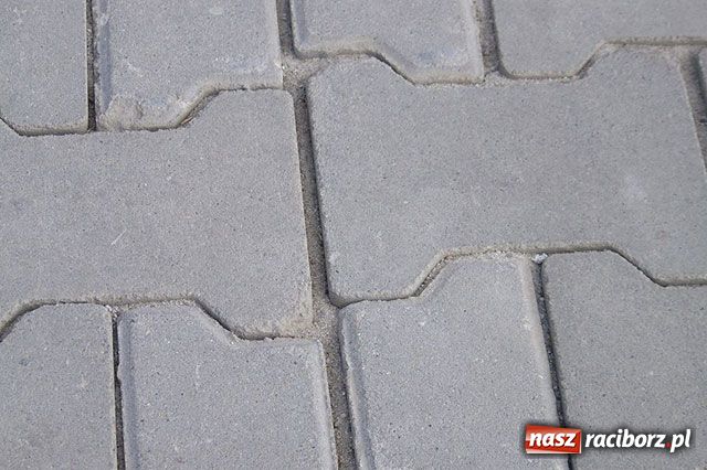 Zdjęcie w galerii na portalu naszraciborz.pl: Ścieżka rozjechana. Kto winien? wiadomości z regionu