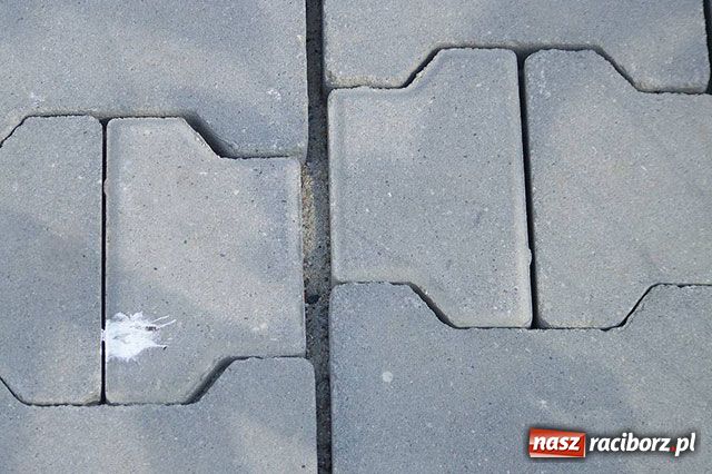 Zdjęcie w galerii na portalu naszraciborz.pl: Ścieżka rozjechana. Kto winien? wiadomości z regionu