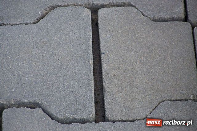 Zdjęcie w galerii na portalu naszraciborz.pl: Ścieżka rozjechana. Kto winien? wiadomości z regionu