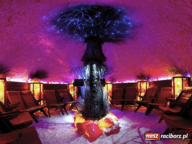 Zdjęcie w galerii na portalu naszraciborz.pl: Naturalna wioska SPA Nottingham wiadomości z regionu