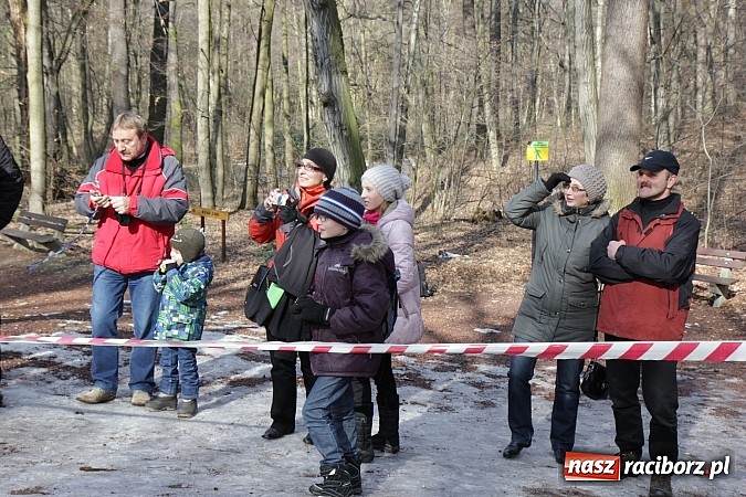 Zdjęcie w galerii na portalu naszraciborz.pl: II Bieg Twardziela w raciborskim Arboretum wiadomości z regionu