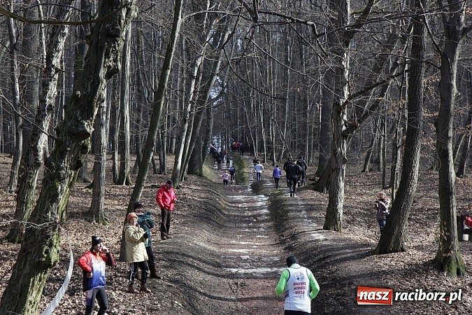 Zdjęcie w galerii na portalu naszraciborz.pl: II Bieg Twardziela w raciborskim Arboretum wiadomości z regionu