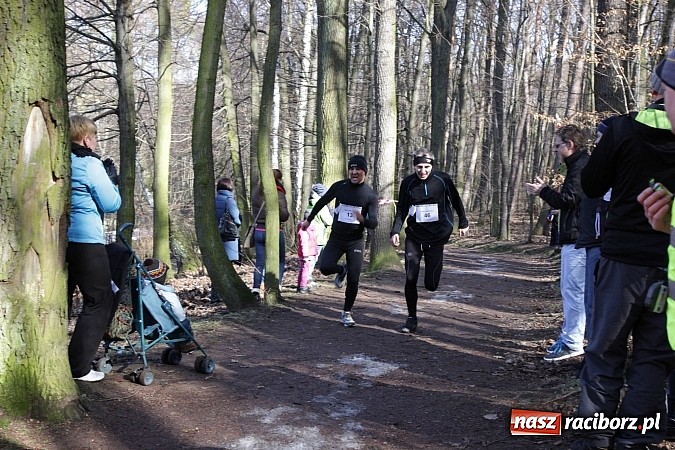 Zdjęcie w galerii na portalu naszraciborz.pl: II Bieg Twardziela w raciborskim Arboretum wiadomości z regionu