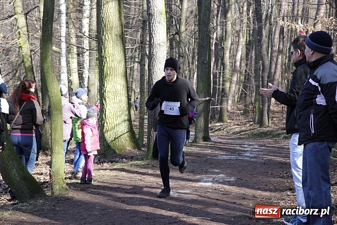 Zdjęcie w galerii na portalu naszraciborz.pl: II Bieg Twardziela w raciborskim Arboretum wiadomości z regionu