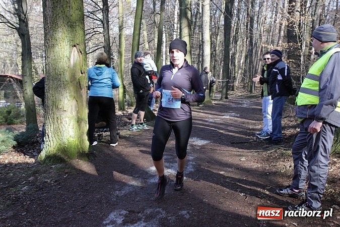 Zdjęcie w galerii na portalu naszraciborz.pl: II Bieg Twardziela w raciborskim Arboretum wiadomości z regionu
