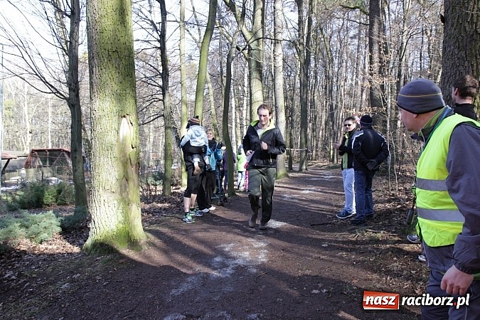 Zdjęcie w galerii na portalu naszraciborz.pl: II Bieg Twardziela w raciborskim Arboretum wiadomości z regionu